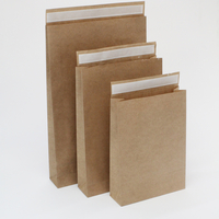 Paper Mailing Envelope