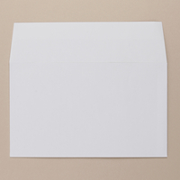 River Series White Wallet DL Envelope Front