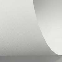 Rives Laid Creative Paper Bright White B1 320gsm Pack of 100 Sheets