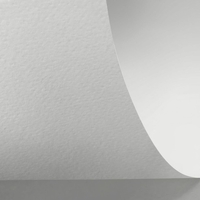 Rives Shetland Digital Creative Paper Bright White 483x330mm 250gsm Pack of 250 Sheets
