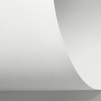 Rives Sensation Tactile Creative Paper Bright White 700x1000mm 270gsm Pack of 100 Sheets