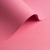 Olin Colours Blush Creative Paper B1 240gsm Pack of 100 Sheets