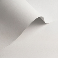 Olin Colours Brilliant White Creative Paper B1 320gsm Pack of 50 Sheets