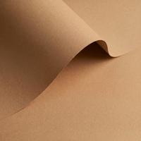 Olin Origins Cereal Creative Paper B1 320gsm Pack of 50 Sheets