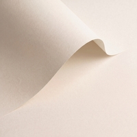 Olin Origins Chalk Creative Paper B1 120gsm Pack of 250 Sheets