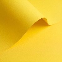 Olin Colours Creative Paper Citrus Yellow 450x640mm 170gsm Pack of 125 Sheets