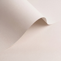 Olin Colours Cloud Creative Paper B1 120gsm Pack of 250 Sheets