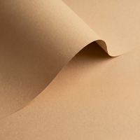 Olin Colours Fawn Creative Paper B1 320gsm Pack of 50 Sheets