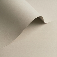 Olin Colours Grey Creative Paper B1 240gsm Pack of 100 Sheets