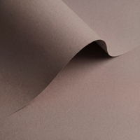 Olin Colours Urban Grey Creative Paper B1 320gsm Pack of 50 Sheets