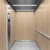 3M DI-NOC Wood Interior Films DW-1875MT 1220mm x 50M 200 Micron 7100154852