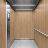 3M DI-NOC Wood Interior Films DW-1876MT 1220mm x 50M 200 Micron 7100154853