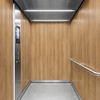 3M DI-NOC Wood Interior Films DW-1878MT 1220mm x 50M 200 Micron 7100154855
