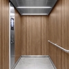 3M DI-NOC Wood Interior Films DW-1884MT 1220mm x 50M 200 Micron 7100154906