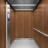 3M DI-NOC Wood Interior Films DW-1891MT 1220mm x 50M 200 Micron 7100154754