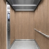 3M DI-NOC Wood Interior Films DW-2203MT 1220mm x 50M 200 Micron 7100232111