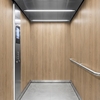 3M DI-NOC Wood Interior Films DW-2205MT 1220mm x 50M 230 Micron