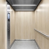 3M DI-NOC Wood Interior Films DW-2471MT 1220mm x 50M 200 Micron 7100320776