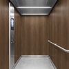 3M DI-NOC Wood Interior Films DW-2481MT 1220mm x 50M 200 Micron 7100320775