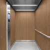 3M DI-NOC Wood Interior Films DW-2305MT 1220mm x 50M 200 Micron 7100252349