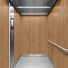 3M DI-NOC Wood Interior Films PW-2309MT 1220mm x 50M 200 Micron 7100252300