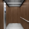 3M DI-NOC Wood Interior Films PW-2315MT 1220mm x 50M 230 Micron 7100252362