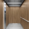 3M DI-NOC Wood Interior Films WG-1837 1220mm x 50M 200 Micron 7100089031