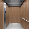 3M DI-NOC Wood Interior Films WG-2071 1220mm x 50M 200 Micron 7100154850
