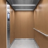 3M DI-NOC Wood Interior Films WG-2246 1220mm x 50M 230 Micron 7100026744
