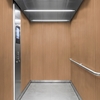 3M DI-NOC Wood Interior Films WG-453 1220mm x 50M 200 Micron 7000008027