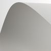 Conqueror CX22 High White Close-up