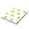 2U Digital Silk White Coated Paper 530x750mm 300gsm Pack of 125 sheets