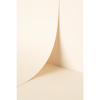 Keaykolour Digital Creative Paper Snow White 483x330mm 300gsm Pack of 100 Sheets