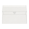 Curious Metallics Envelope Ice Silver 110x220mm 120gsm Pack of 250