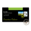 Purely Creative Colour Envelopes Lime Green 25207 120gsm 25 Per Pack