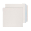 Purely Environmental White RN17891 100gsm 250 Per Pack