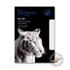 Purely Everyday Bright White 34884 120gsm 500 Per Pack
