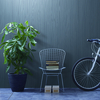 Coala Interior Film Steel