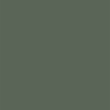 Coala Interior Film Silk Prestige NH08 Forest Green 1220mm x 50 Metre