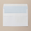 River Series White Wallet Envelope Back