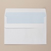River Series DL Wallet Envelope Back