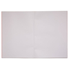 Rhino Plain Inside Application