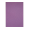 Rhino Project Book Purple Back Cover