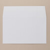 River Series White Wallet DL Envelope Front