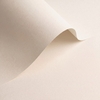 Olin Origins for HP Indigo Chalk Creative Paper SRA3+ 120gsm Pack of 100 Sheets