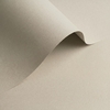 Olin Colours Grey Creative Paper B1 120gsm Pack of 250 Sheets